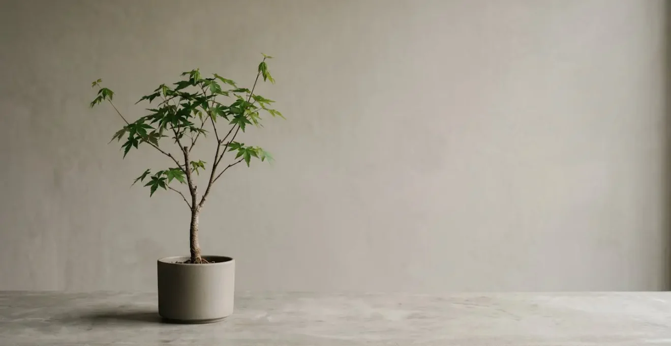 Concept visuel de continuité et de préservation d'un avantage temporel précieux